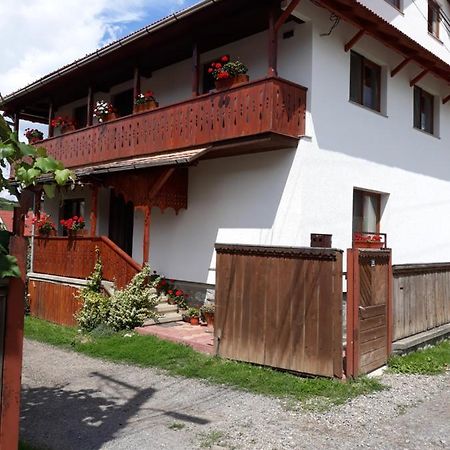 Molnar Vendeghaz Bed and Breakfast Praid Exteriör bild