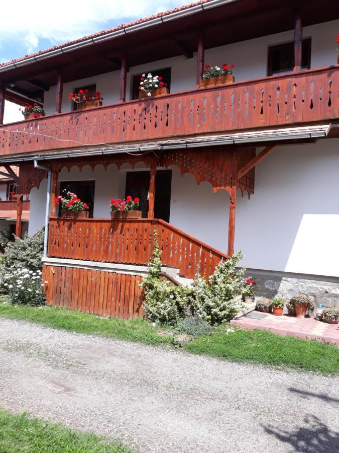 Molnar Vendeghaz Bed and Breakfast Praid Exteriör bild