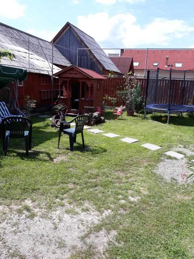 Molnar Vendeghaz Bed and Breakfast Praid Exteriör bild