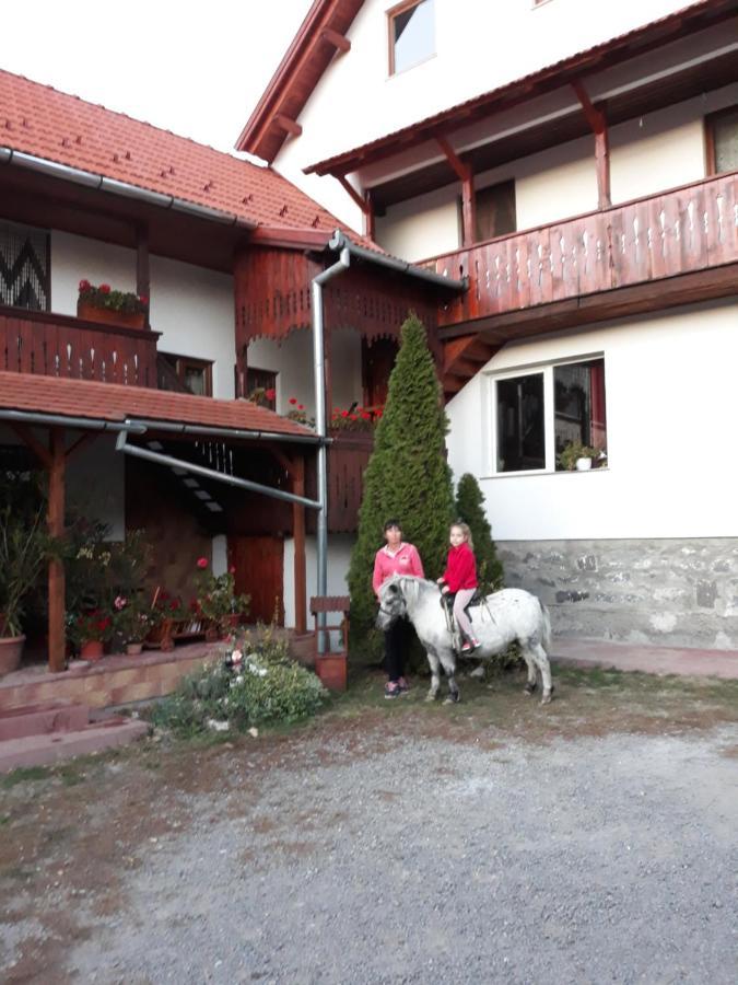 Molnar Vendeghaz Bed and Breakfast Praid Exteriör bild