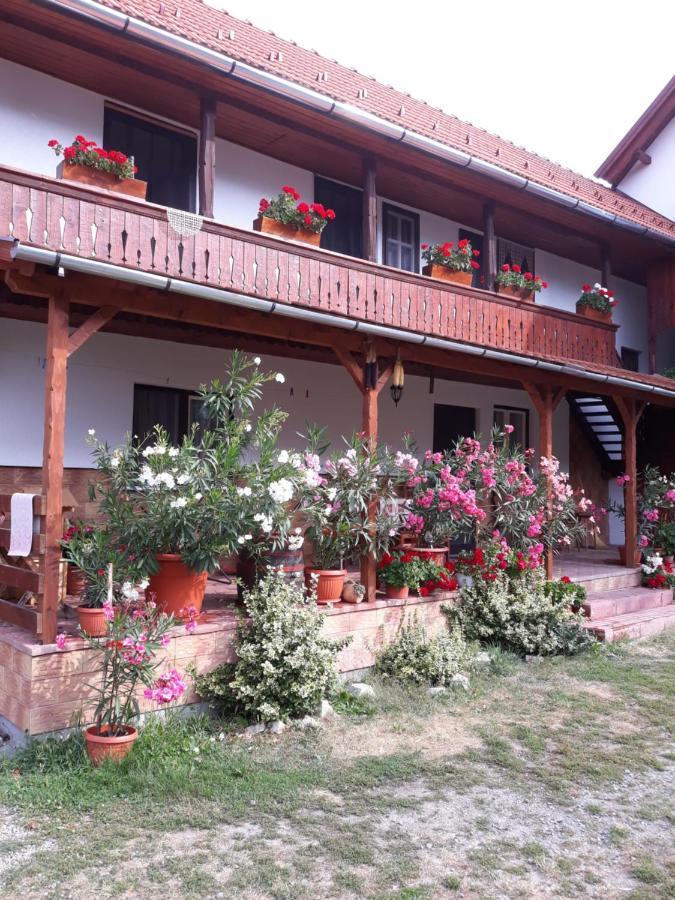 Molnar Vendeghaz Bed and Breakfast Praid Exteriör bild