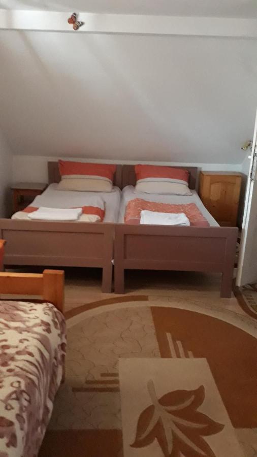 Molnar Vendeghaz Bed and Breakfast Praid Exteriör bild