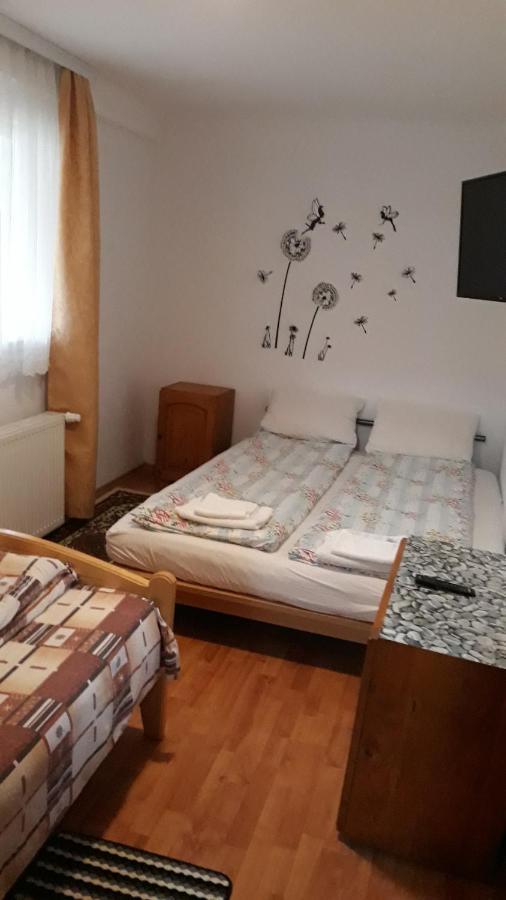 Molnar Vendeghaz Bed and Breakfast Praid Exteriör bild
